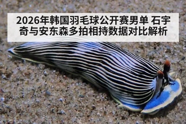 2026年韩国羽毛球公开赛男单 石宇奇与安东森多拍相持数据对比解析 - jiuyouhui